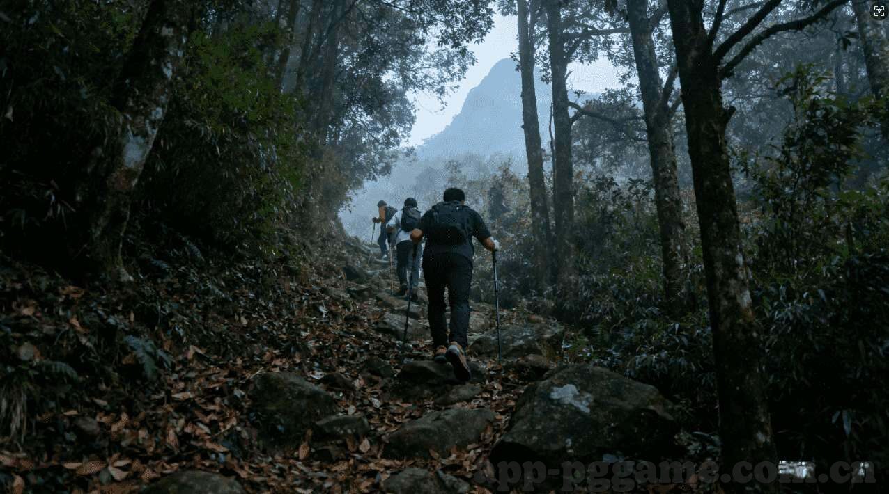 女排历届世界杯成绩-女排历届世界杯成绩概览